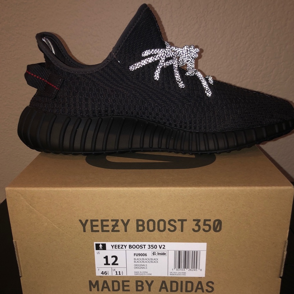 Yeezy DeadStock size 12